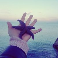 Фотографии пользователя Ayça Güler