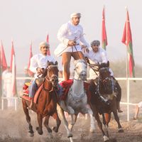 Ammar  Alalawi's Photo