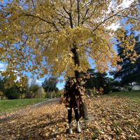 Mar Anahrali的照片