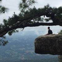 Jon Anderson的照片