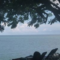 Luz Neira Diaz Diaz的照片