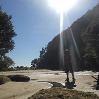 Felipe Salinas Bonich's Photo