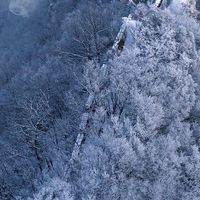 Angie Arroyo的照片