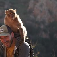 Fotos de Fabrice Vanbecelaere