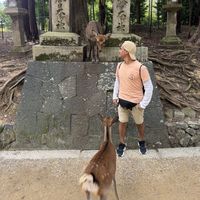 Photos de Alex Lavado