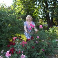 Olga Dorokhina's Photo