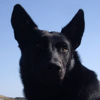 Fotos de Vasilis Pantemi