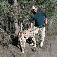 David Bentele's Photo