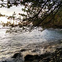 Fotos de Pritam Biswa