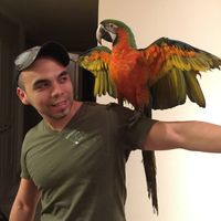 Photos de Manuel Huertum