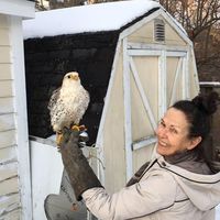 Julia MacLean's Photo