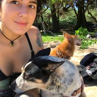 Mandee Chimera的照片