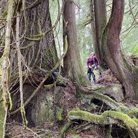 Devon Carbohn的照片