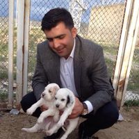 Fatih aktas的照片