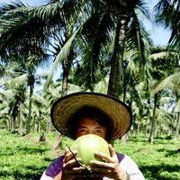 Jonathan Rocque的照片