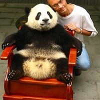 Paul jj Alix的照片