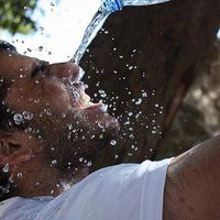 Mohamad Koueifi's Photo