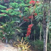 Photos de elena Rangel