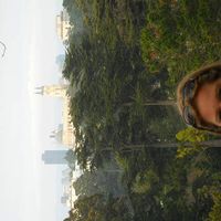 Gwynne McCay's Photo