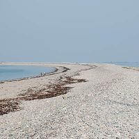 Mireille Langlois的照片