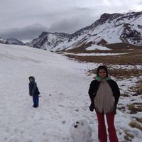 Diego  Romero's Photo