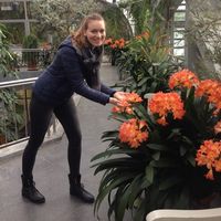 Starlightflash的照片