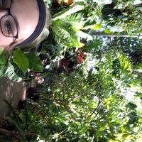 Zdjęcia użytkownika Samantha Yarnell