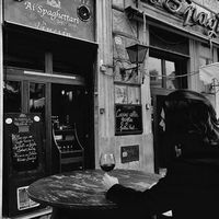 Matteo Traini's Photo