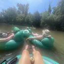 Tubing Down The Neuse's picture
