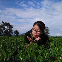 Hoan Nguyen的照片