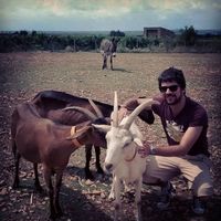 Photos de Marco  Felicani