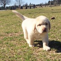 Renatha Priscila's Photo