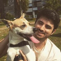 Fotos von Leandro Santo