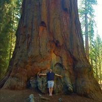 Joshua Congdon的照片