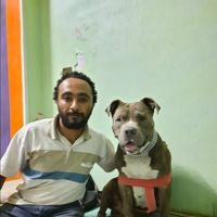 Lawer wallied Abdellatey's Photo