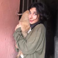 Sema Sincar的照片