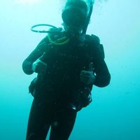 Chris Joyner的照片