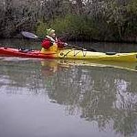 Shara Hammitt的照片