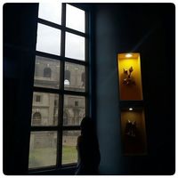 Фотографии пользователя Tania Bustamante