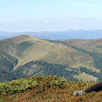 Alyona Goncharuk的照片