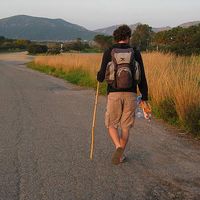 Daniel Sanders's Photo