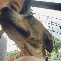 Bella Anthea Z. Frederic's Photo