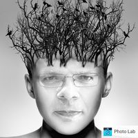 Svend Bitterwolf的照片