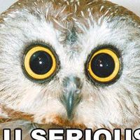 Photos de R.u. Seriou