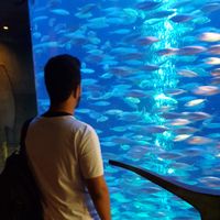 Hatem Alsulami's Photo