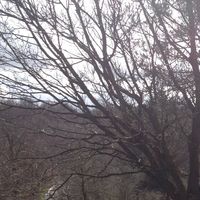 Chris Garrett的照片