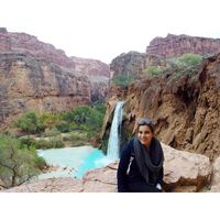 Stephanie Lynch's Photo