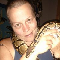 Hollis Taylor's Photo