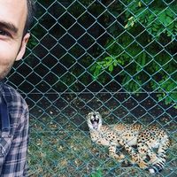 Murat Simsek的照片