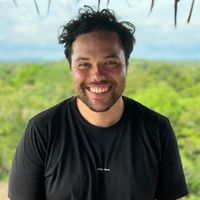 Fotos de David Mirshahi